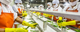 Food and Food processing